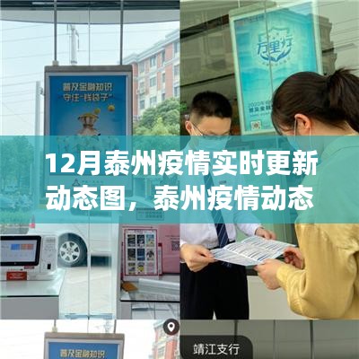泰州疫情实时动态更新与观察反思