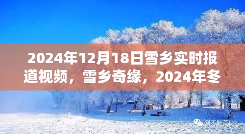 2024年雪乡实时报道，冬日童话的奇缘