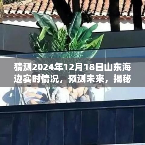 揭秘未来景象，山东海边在2024年12月18日的预测与实时情况分析