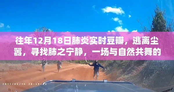 与自然共舞，逃离尘嚣的肺炎实时豆瓣旅行记，寻找肺之宁静日