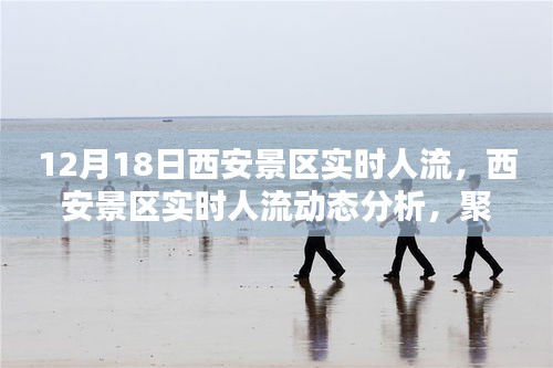 12月18日西安景区人潮涌动实时报告，深度解析当日人流动态