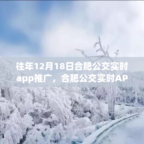 合肥公交实时APP推广，冬日奇遇与暖心陪伴