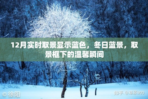 冬日蓝景下的温馨瞬间，12月实时取景展示