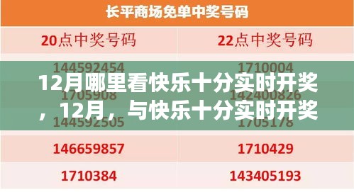 见证成长力量，12月，追寻快乐十分实时开奖的奇迹时刻