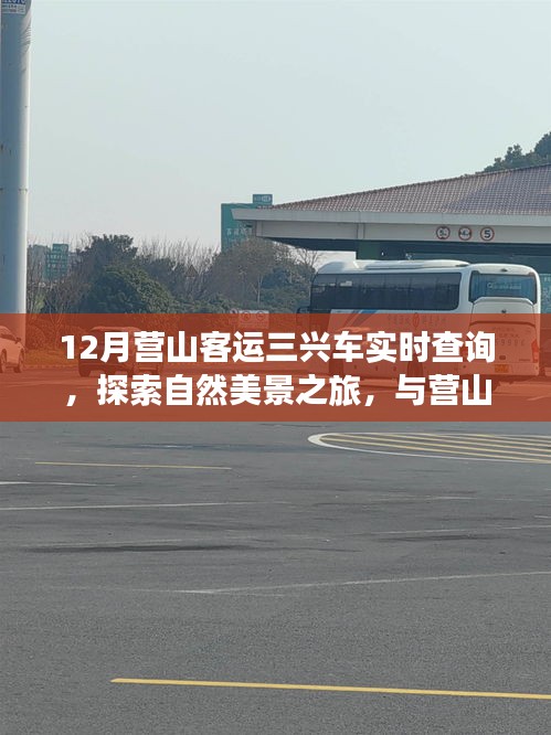 营山客运三兴车，十二月征途美景探索与实时查询指南