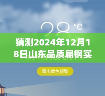 揭秘预测，2024年山东品质扁钢实时价格展望与深度评测报告出炉！