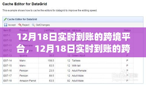 高效便捷安全跨境交易新选择，12月18日实时到账的跨境平台