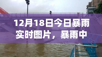 暴雨中的彩虹桥，友情与陪伴的温馨故事实时图片报道