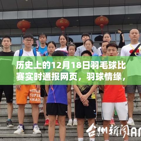 羽球情缘，赛场风云与家的温暖——历史上的羽毛球比赛实时通报网页（12月18日）