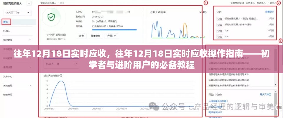 往年12月18日实时应收详解，操作指南与教程，初学者与进阶用户必备参考