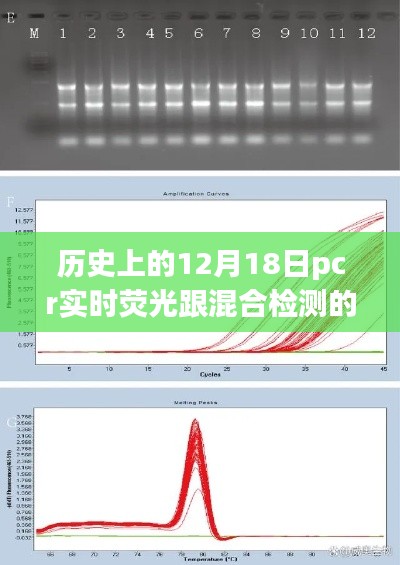 历史上的12月18日，PCR实时荧光与混合检测的区别探究及深度阐述观点标题