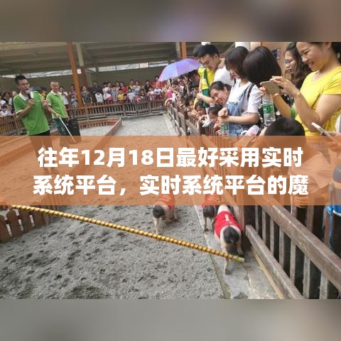 实时系统平台的魔法日，12月18日的温馨故事回顾