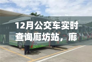 廊坊站公交实时查询系统，智能出行革新公交体验
