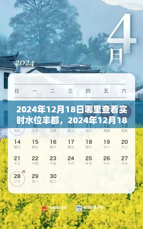 丰都实时水位查询指南，2024年12月18日如何查看丰都水位深度详细步骤及最新信息更新