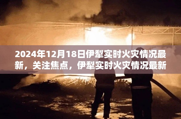 2024年12月18日伊犁实时火灾最新情况报告，关注焦点与最新进展