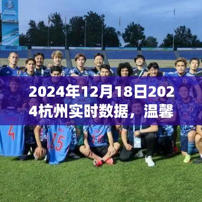 2024年12月18日杭州实时数据，温馨日常的奇妙数据之旅