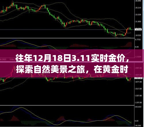 矢志不渝 第2页