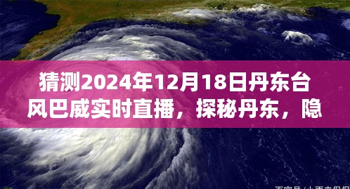 丹东特色小店与台风巴威探秘，实时直播揭秘2024年台风影响