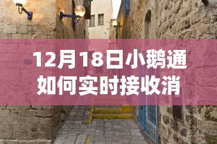 探秘小巷深处的特色小店，揭秘小鹅通实时消息接收指南，惊喜不断！