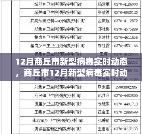商丘市12月新型病毒实时动态观察与深度思考
