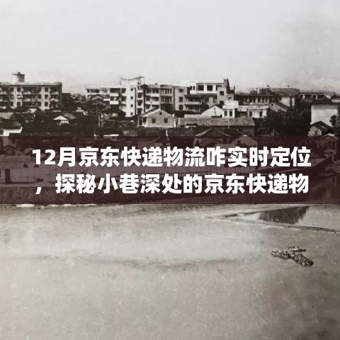 探秘京东快递物流实时定位，小巷深处的物流奇迹与独特体验