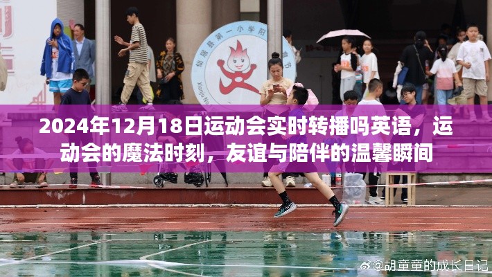 运动会的魔法时刻，友谊与陪伴的温馨瞬间及实时转播信息