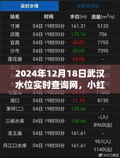 小红书分享，武汉水位实时查询指南（2024年）