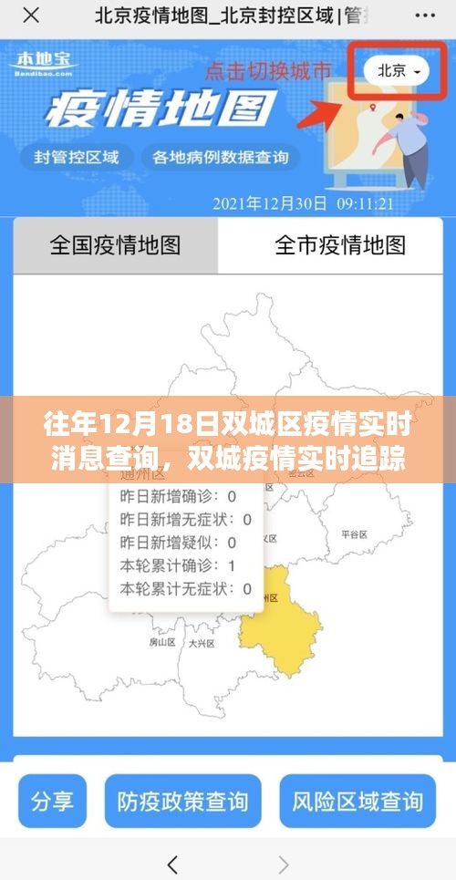 智能科技引领抗疫新时代，双城区疫情实时追踪与消息查询报告（往年12月18日）
