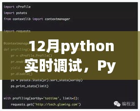Python实时调试指南，从入门到精通，12月特别版