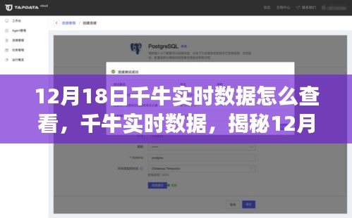 揭秘12月18日千牛实时数据，商业洞察之旅的启程点