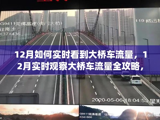 12月大桥车流量实时监控指南，一步步学会交通流量监控