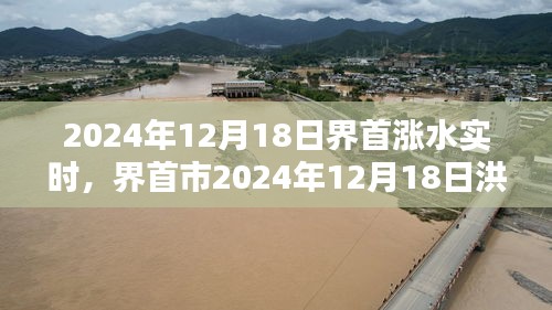 界首市洪水预警与实时情况分析，2024年12月18日涨水实时报道