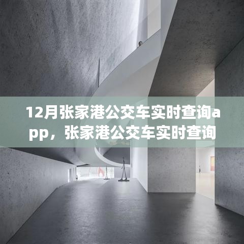 张家港公交车实时查询app，智慧出行，轻松驾驭城市公交
