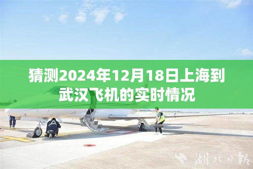 上海至武汉航班实时动态预测，航班动态与预测分析