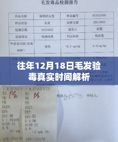 往年12月18日毛发验毒真相揭秘