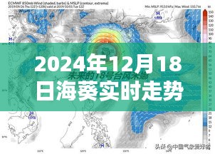 海葵实时走势图表图片（2024年12月18日更新）