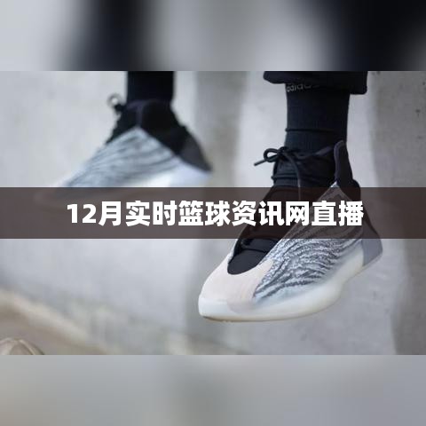 篮球资讯直播网，实时更新，尽在掌握