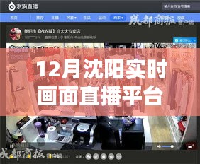 沈阳实时画面直播平台，12月精彩瞬间在线观看