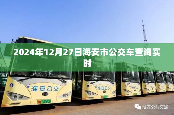 海安市公交车实时查询系统（最新更新至2024年）