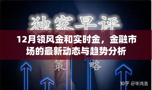 12月金融市场动态，领风金与实时金的趋势分析