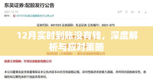 12月实时到账问题解析，资金未到账原因及应对策略