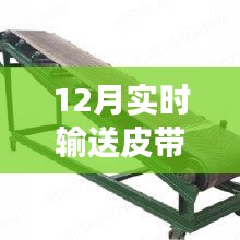 实时输送皮带，高效运输核心要素