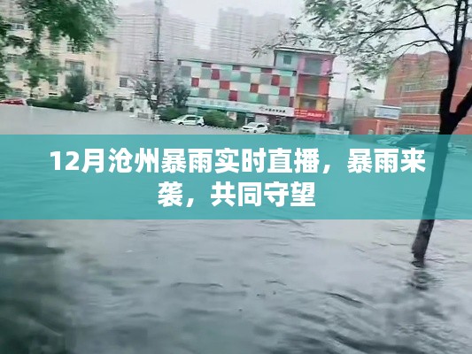 沧州暴雨来袭，实时直播，共同守望