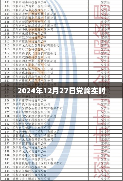 党岭美景，探访冬日仙境，2024年实拍纪实