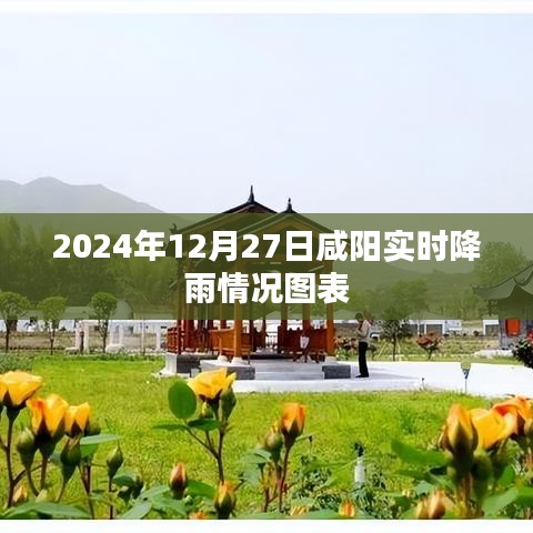 咸阳实时降雨图表，2024年12月27日降雨数据可视化分析