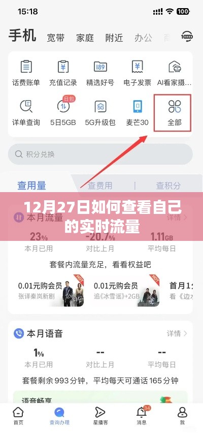 12月27日查看实时流量攻略
