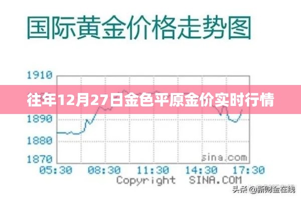 金色平原金价走势，最新实时行情分析