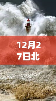 还醇返朴 第2页