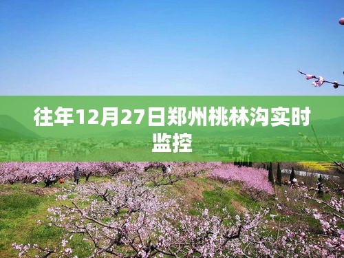 郑州桃林沟实时动态监控往年观察