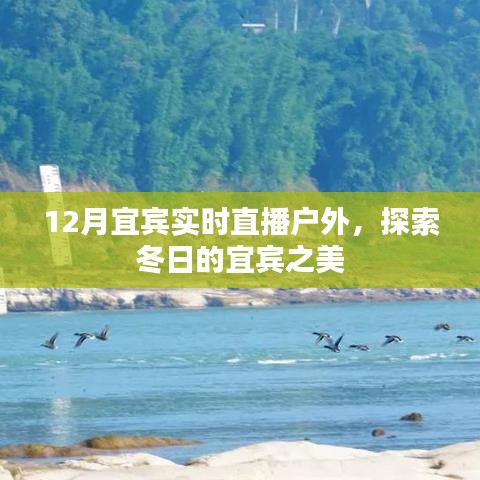 环肥燕瘦 第2页
